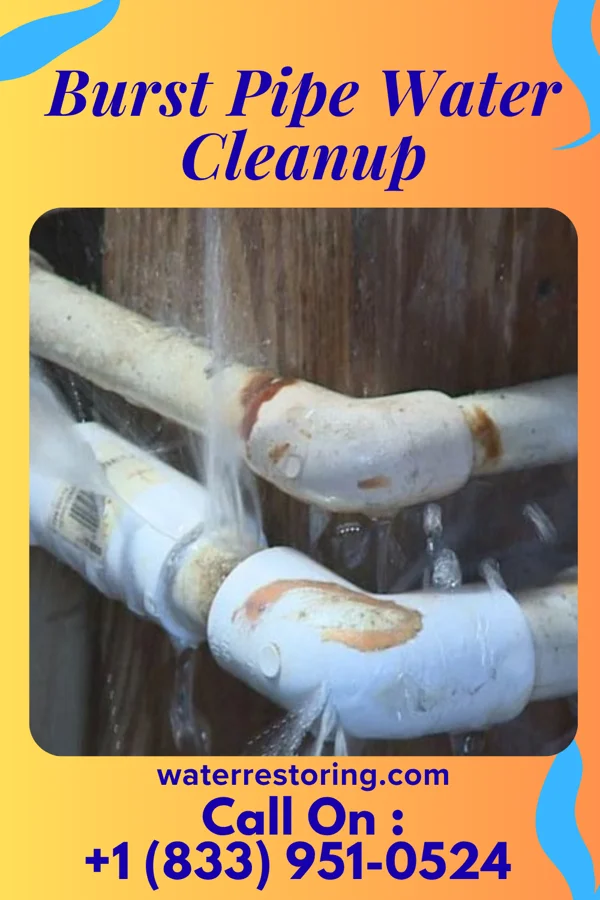 Burst Pipe Water Cleanup in New Kensington, PA