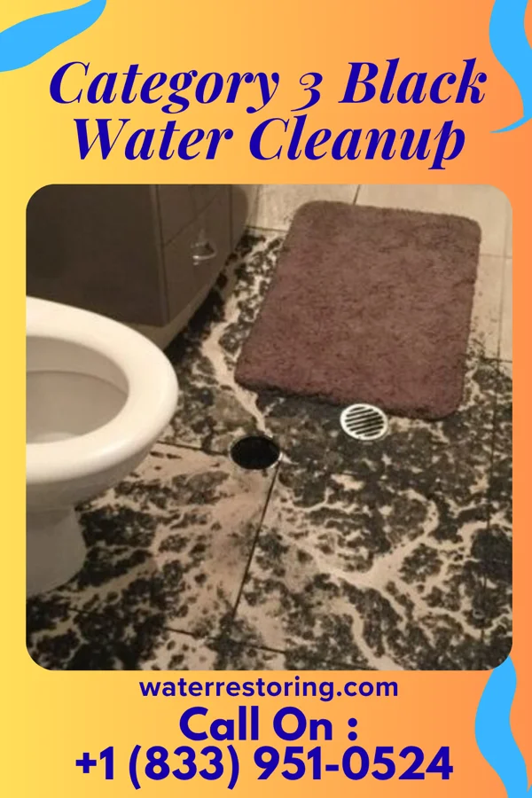 Category 3 Black Water Cleanup in New Kensington, PA